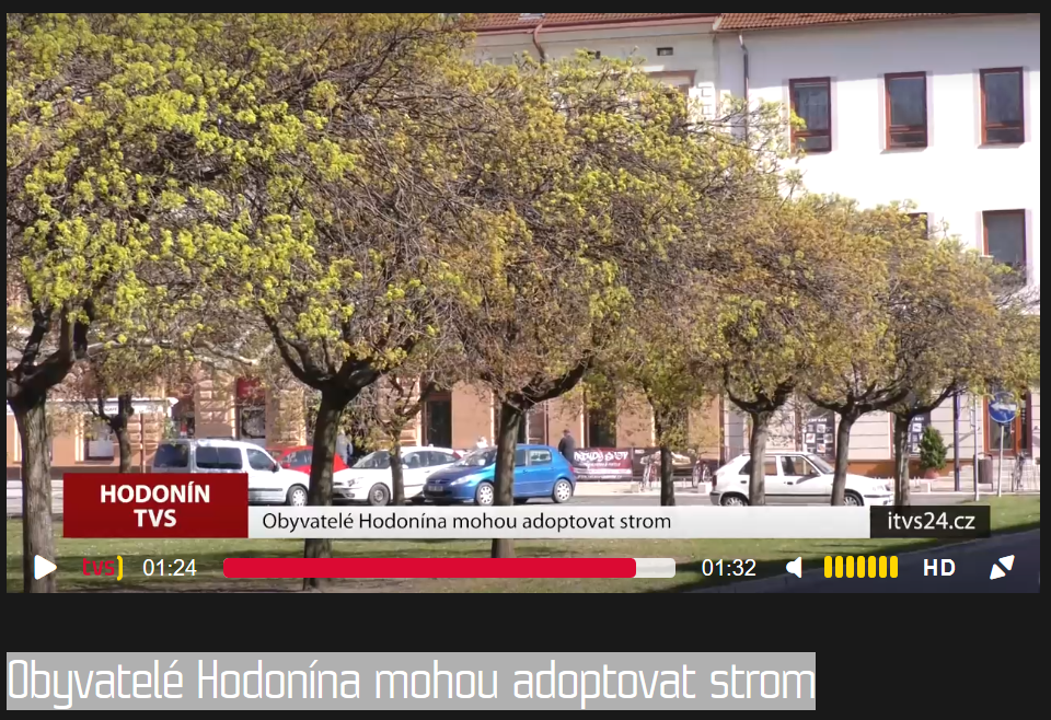 adopce stromu hodonin