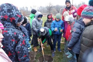 Krajinná výsadba v Nejdku- ATCZ142 - Klimatická zeleň