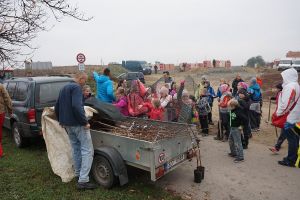 Výsadba stromořadí podél cyklostezky na okraji Přibic - ATCZ142 - Klimatická zeleň