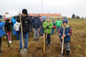 Lipovo třešňovou alejí se můžou chlubit ve Vysočanech