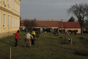 Výsadba stromků na zahradě ZŠ Hodějice