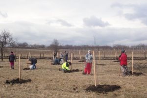 Sad ve Velkých Pavlovicích (ATCZ142-klimatická zeleň)