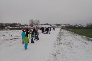 Výsadba ovocné aleje v obci Kelčany (ATCZ142 - klimatická zeleň)