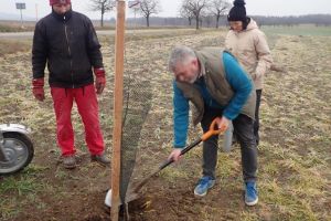 Obecní sad ve Studnici (ATCZ142-klimatická zeleň)