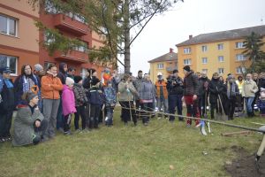 Komunitní výsadba - Obnova zeleně po tornádu v Bažantnici