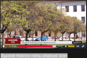 Obyvatelé Hodonína mohou adoptovat strom 