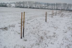 Výsadba stromů a keřů u vodní nádrže Blatnička