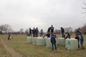 Krajinná výsadba ve Skanzenu Strážnice - ATCZ142 - Klimatická zeleň