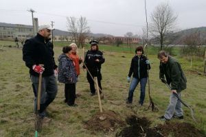 Krajinná výsadba v Tišnově - ATCZ142 - Klimatická zeleň